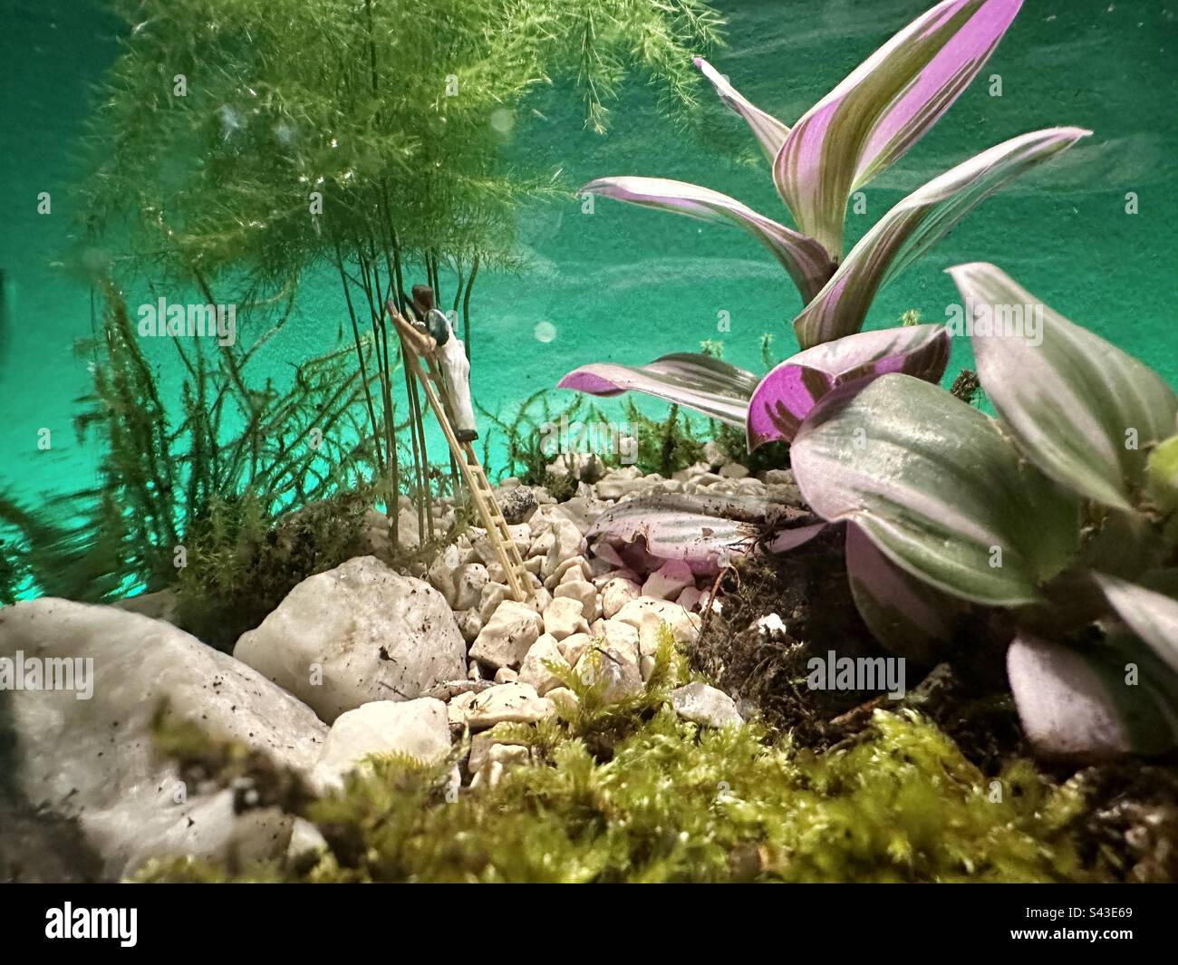 Miniature garden with a gardener cutting back a tree - Smartphone Captured Stock Image