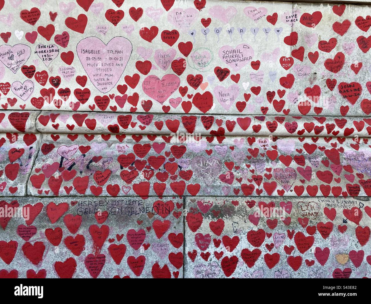A small part of the U.K. National Covid Memorial Wall - situated opposite the Houses of Parliament on the south bank of the River Thames. One heart represents one death due to Covid-19. Photo ©️ C.H. - Smartphone Captured Stock Image