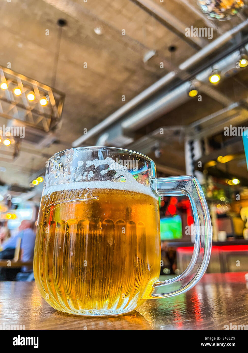 Refreshing pint of lager in bar Stock Photo