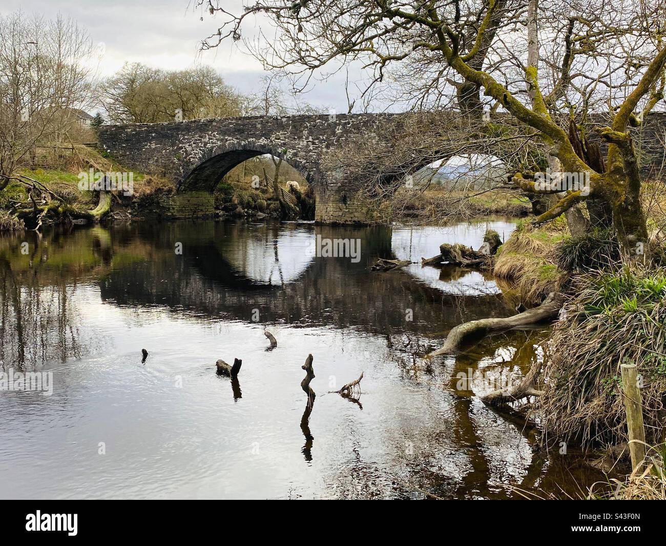 River - Smartphone Captured Stock Image