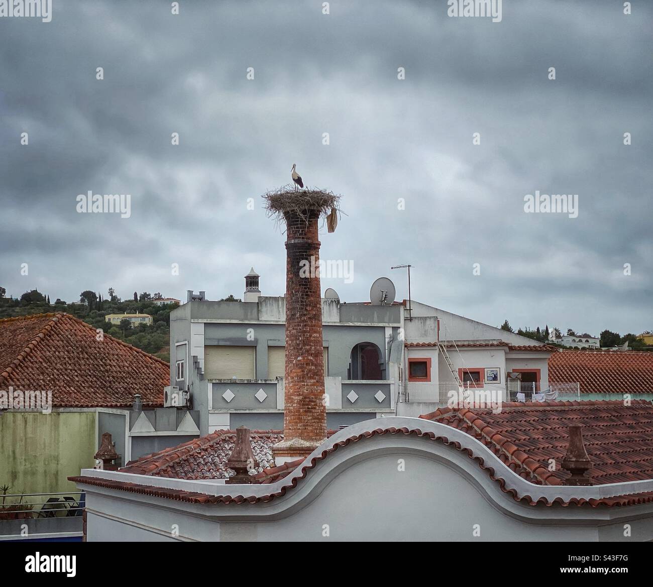 Stork in its tall bird nest above the roofs in Silves town in Algarve, Portugal. - Smartphone Captured Stock Image