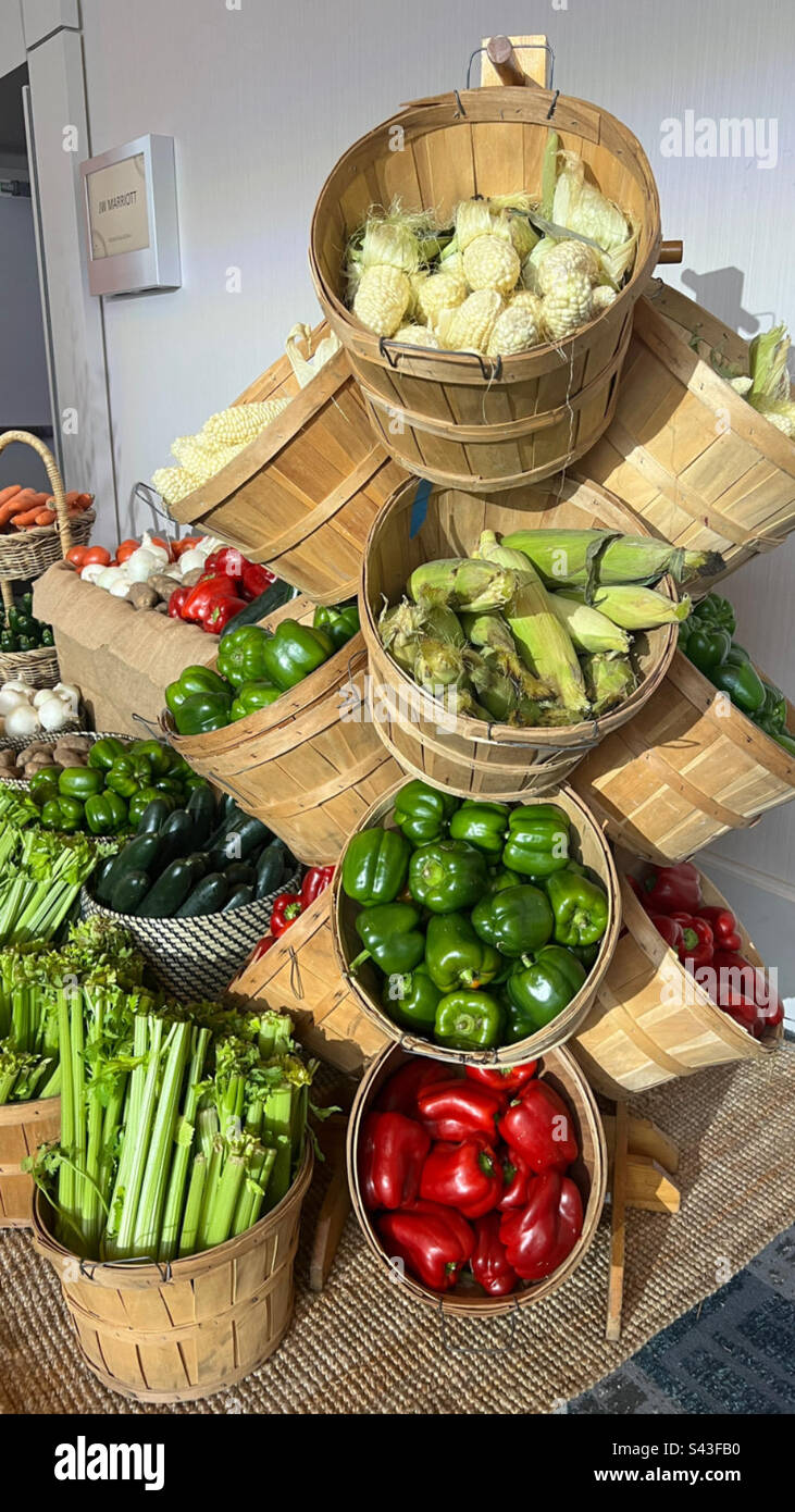 Farm Veggies Stock Photo