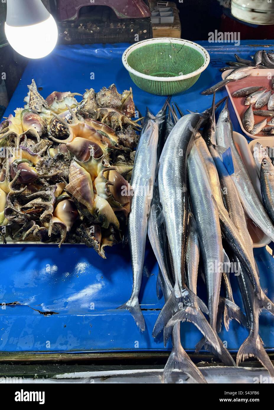 Randys Fishmarket Restaurant In Naples