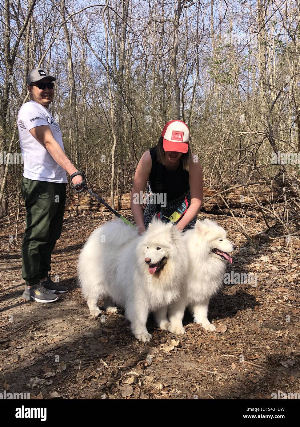 Two dogs at the park hi-res stock photography and images - Alamy