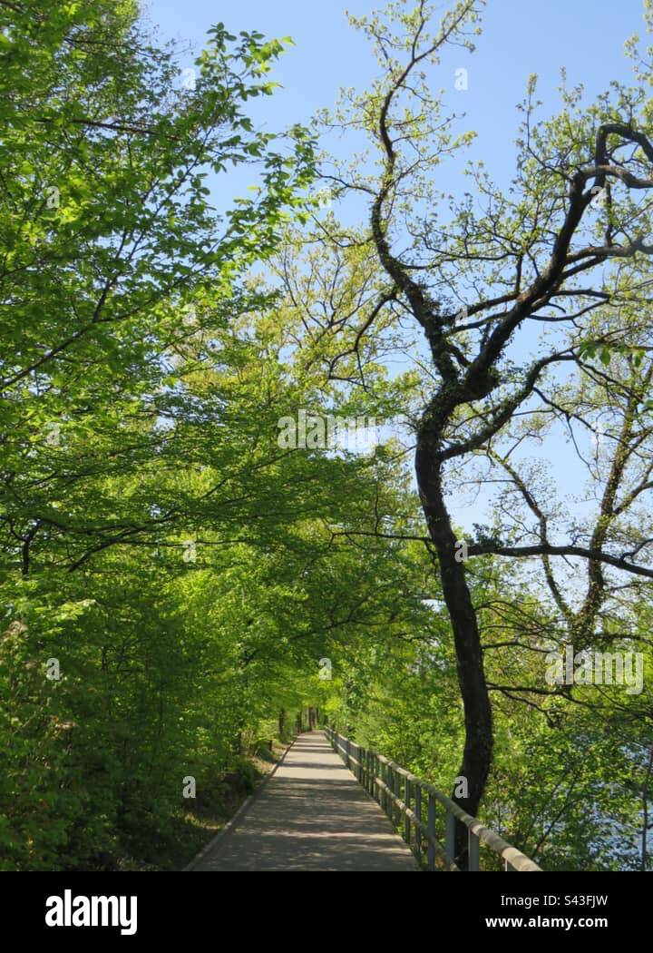 Street at the Aare River by Olten! Switzerland! - Smartphone Captured Stock Image