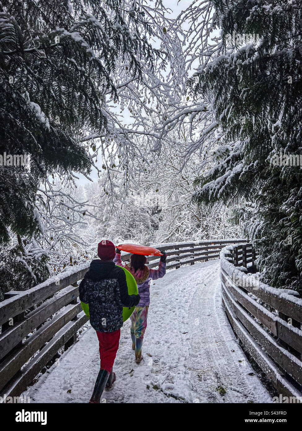 On the way to sledding - Smartphone Captured Stock Image