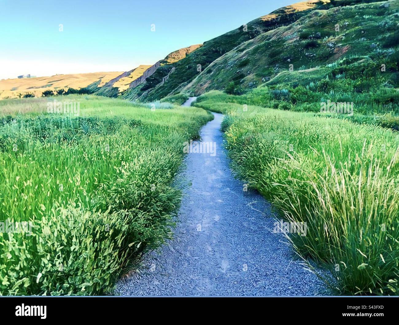 Hiking Trail Down in the Coulees in Lethbridge in Summer Stock Photo