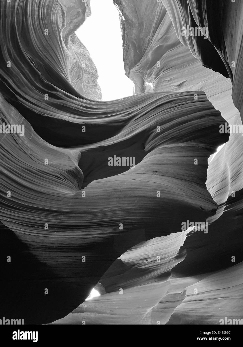 Amateur mobile phone photos - Smartphone Captured Stock Image