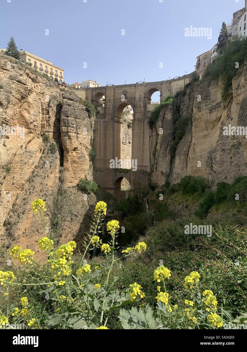 New bridge in Ronda with yellow spring flowers - Smartphone Captured Stock Image