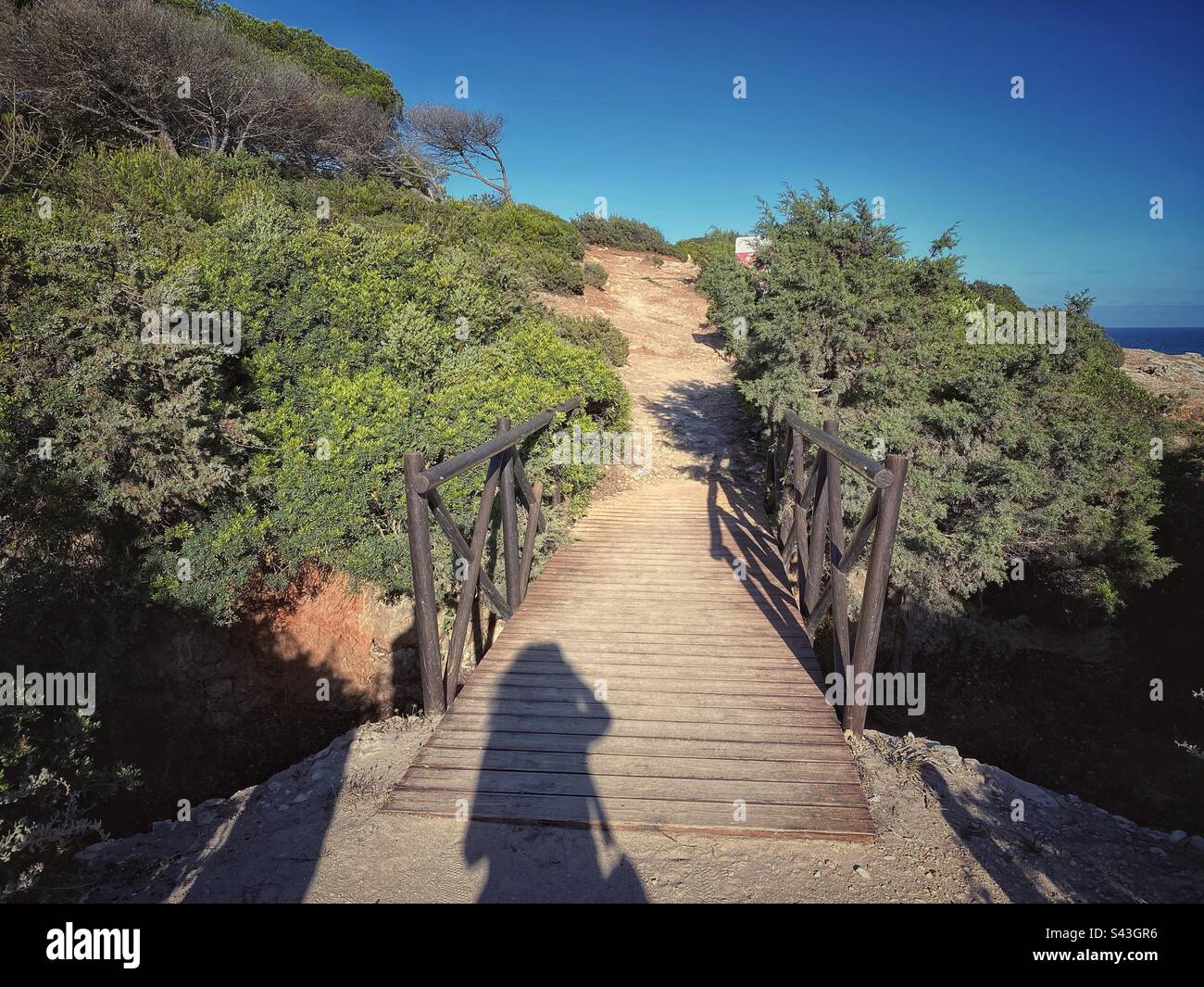 Wooden bridge over sandstone cliffs with green shrubs in Algarve, Portugal. - Smartphone Captured Stock Image Wooden bridge over sandstone cliffs with green shrubs in Algarve, Portugal. - Smartphone Captured Stock Image