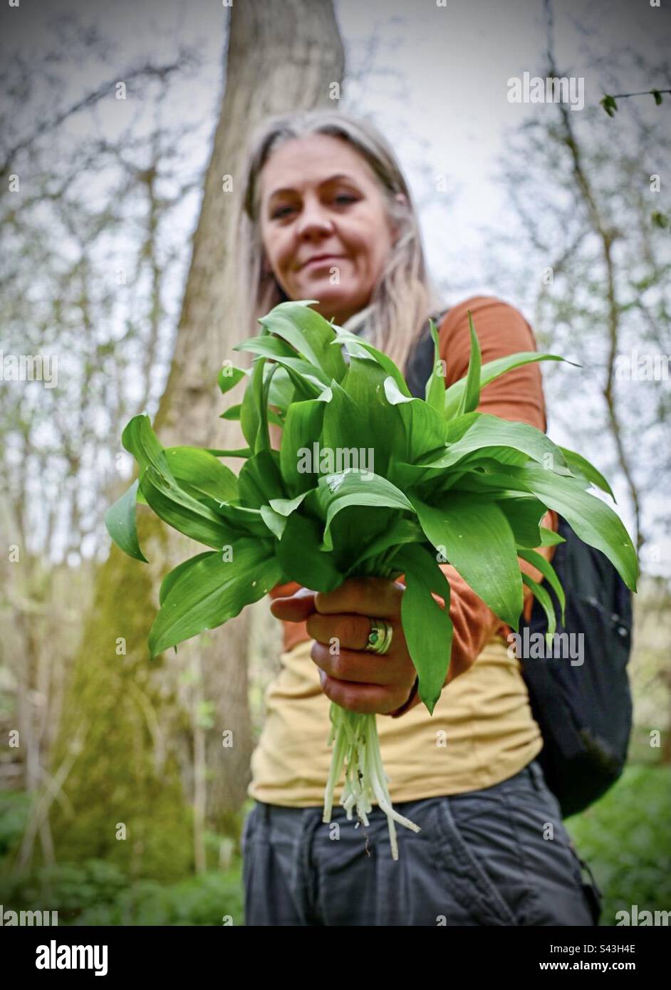 A woman holds a bunch of wild garlic leaves in the countryside in England - Smartphone Captured Stock Image