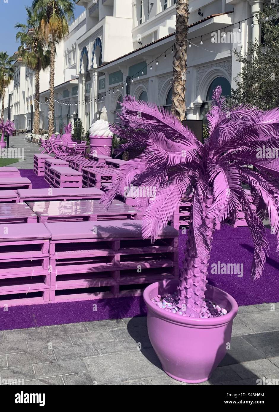 Lavender coloured palm tree and benches at an outdoor street food event - Smartphone Captured Stock Image
