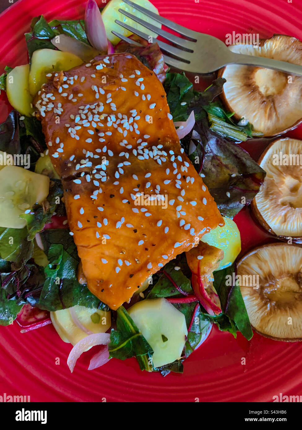 A delicious, healthy, colorful, plated meal with salmon coated in sesame seeds & soy sauce, garnished with butter shiitake mushrooms and various homegrown greens and vegetables. Stock Photo
