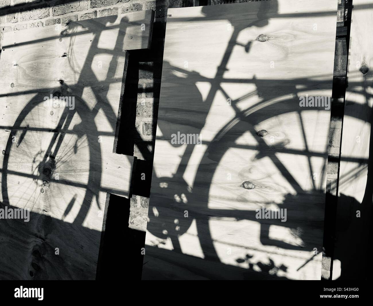 Shadow of a complete bicycle against some plywood on a sunny morning in London - Smartphone Captured Stock Image