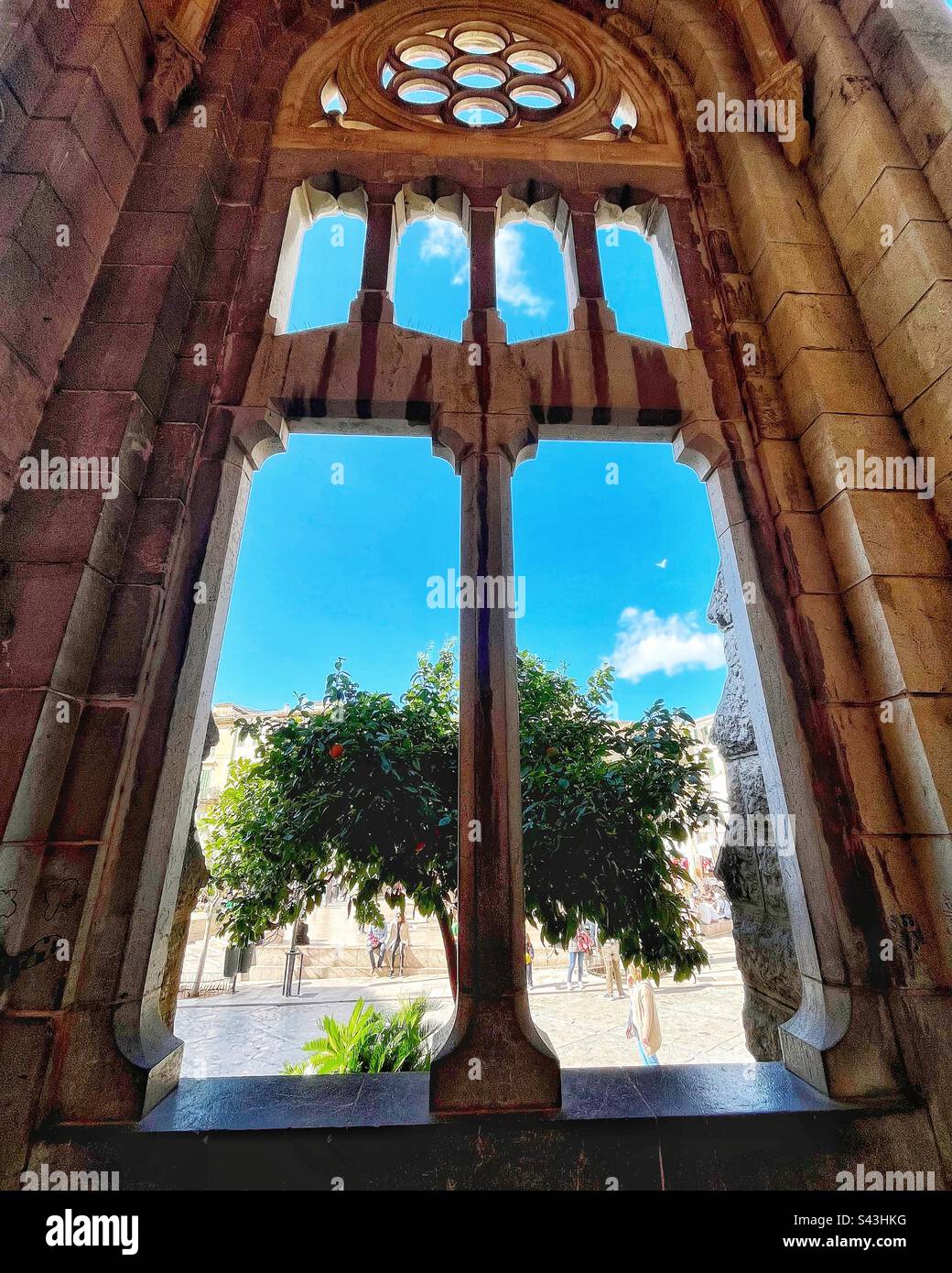 In Sóller, Mallorca, a view through a window onto Plaça de la Constitució from the church, Sant Bartomeu - oranges are famous in the area. - Smartphone Captured Stock Image