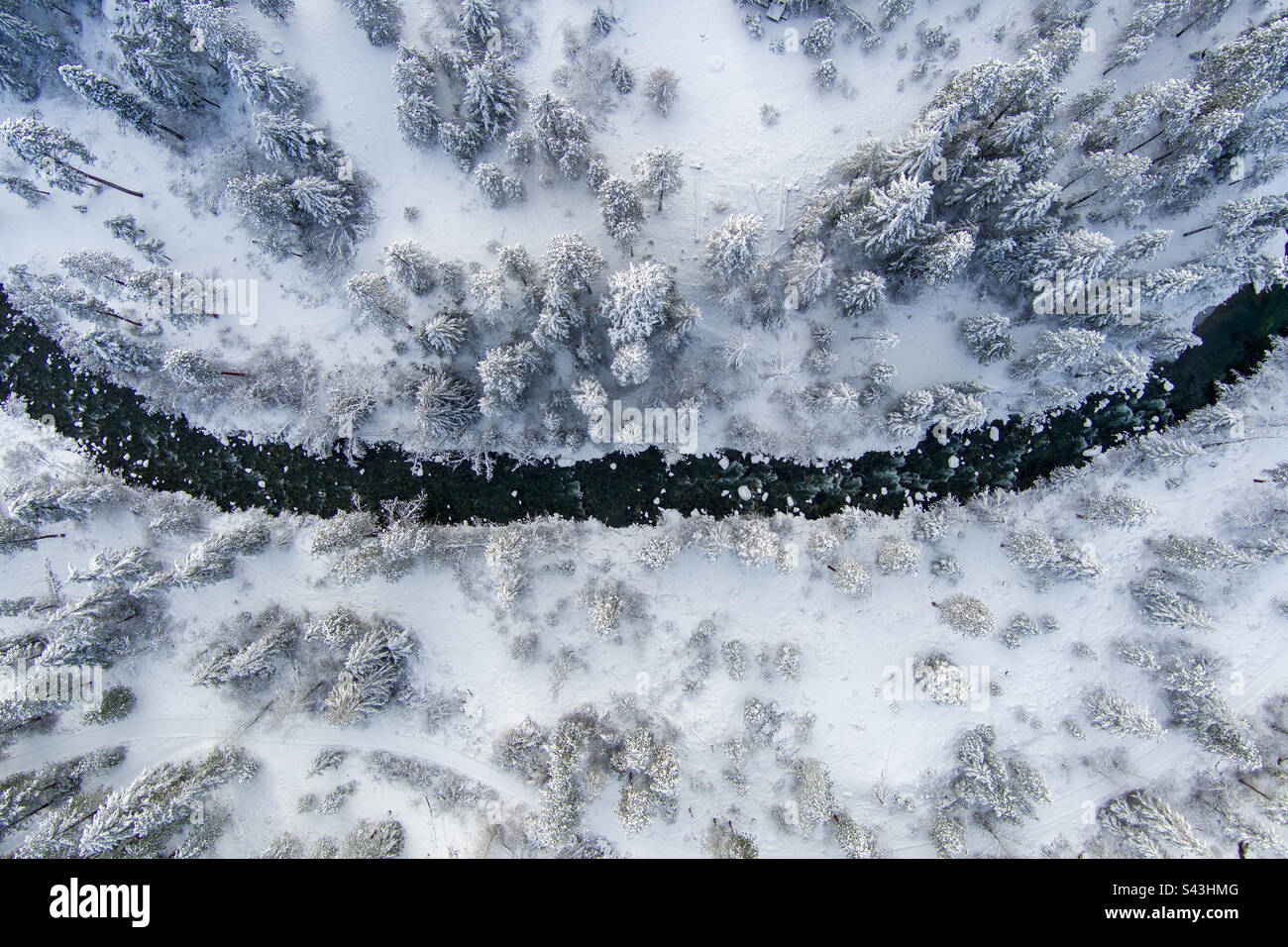 Washington state outdoors in December - Smartphone Captured Stock Image