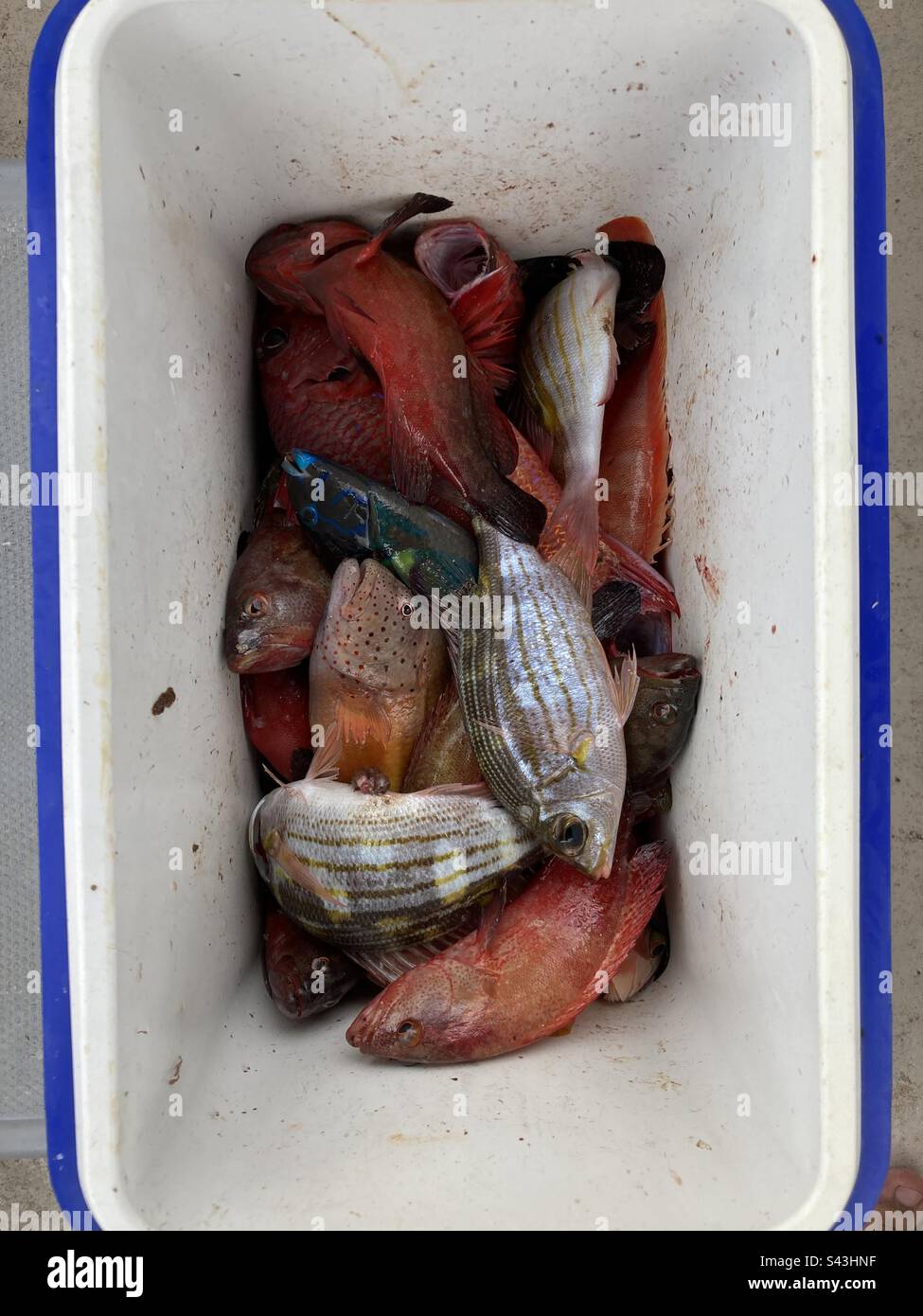 Fishing boat mauritius hi-res stock photography and images - Alamy