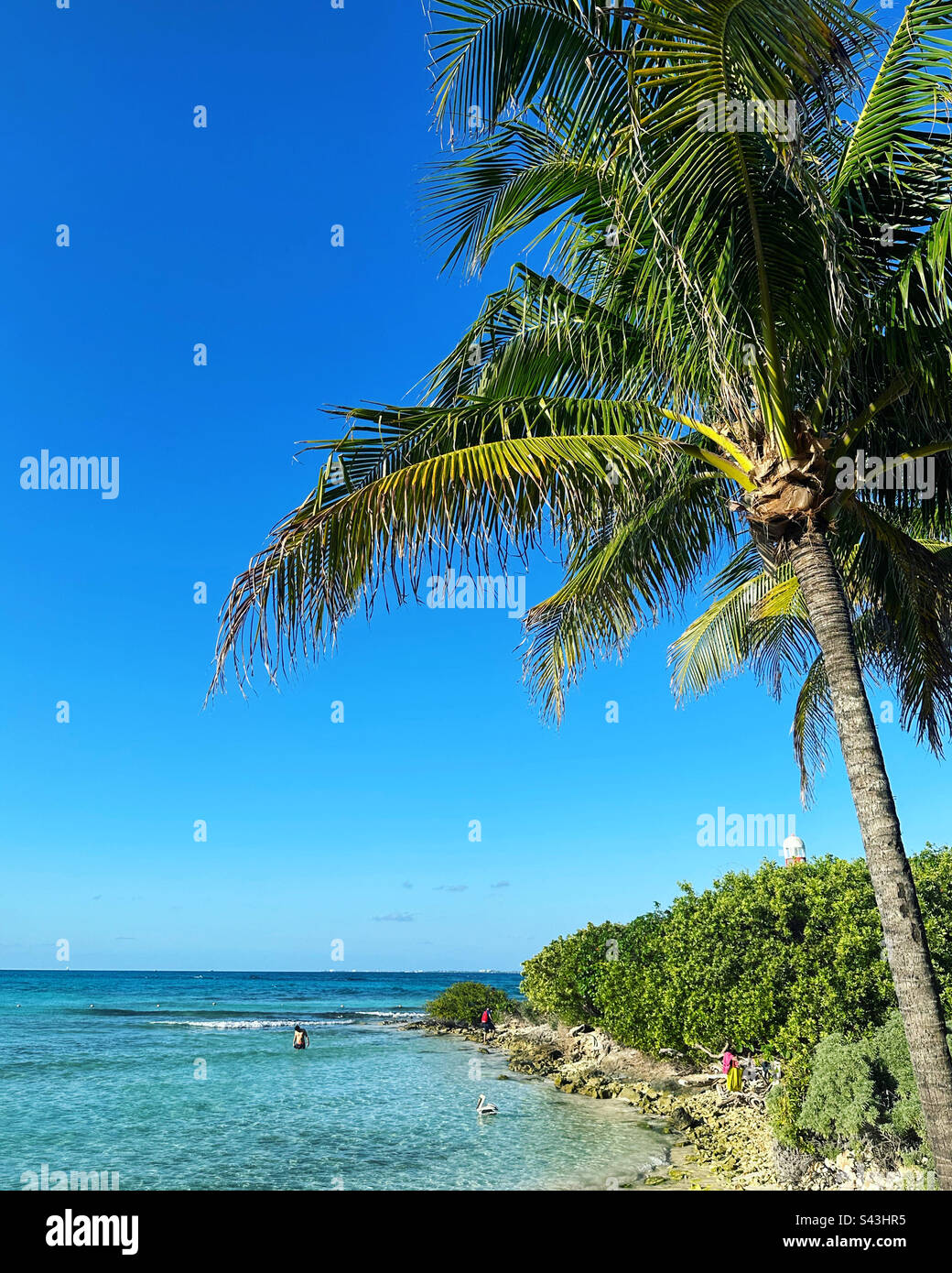 January, 2023, Punta Cancun, Hotel Zone, Cancun, Quintana Roo, Yucatan Peninsula, Mexico - Smartphone Captured Stock Image
