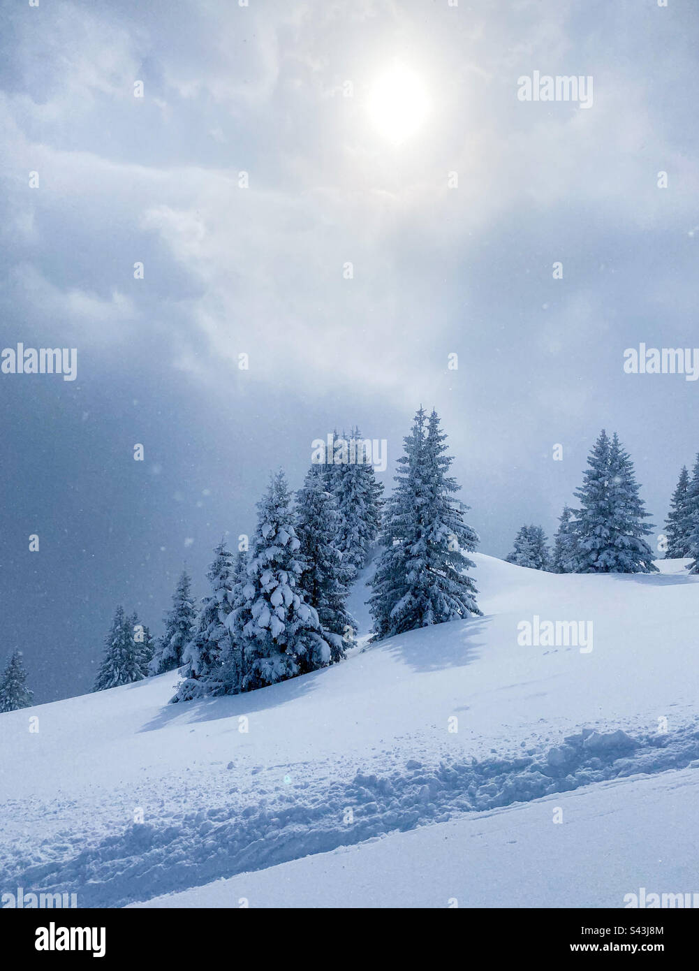 Dreamy winter scene of snow covered trees with a dramatic sky. - Smartphone Captured Stock Image Dreamy winter scene of snow covered trees with a dramatic sky. - Smartphone Captured Stock Image