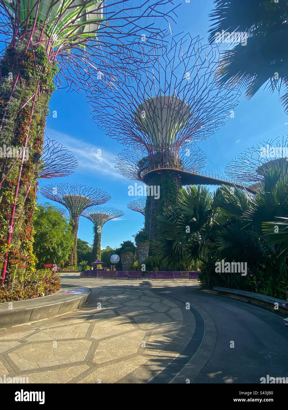 Super trees at Gardens by the Bay, Singapore - Smartphone Captured Stock Image