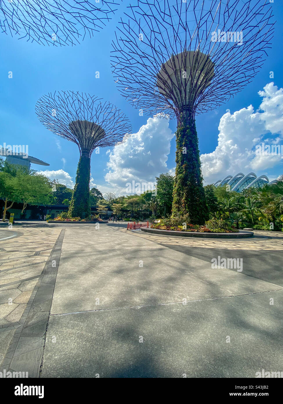 Supertrees at Gardens by the Bay,Singapore - Smartphone Captured Stock Image
