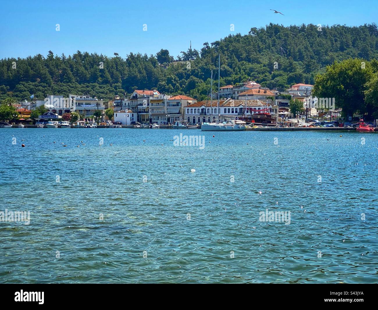 Sea view at Limenas town and harbor with green mountains on Thassos island in Greece. - Smartphone Captured Stock Image