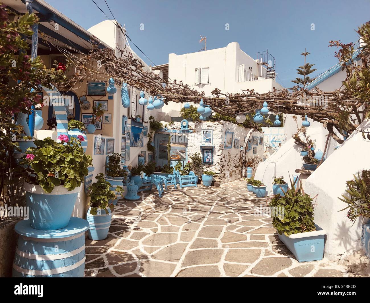 Cycladic island alleyway traditionally decorated Stock Photo - Alamy