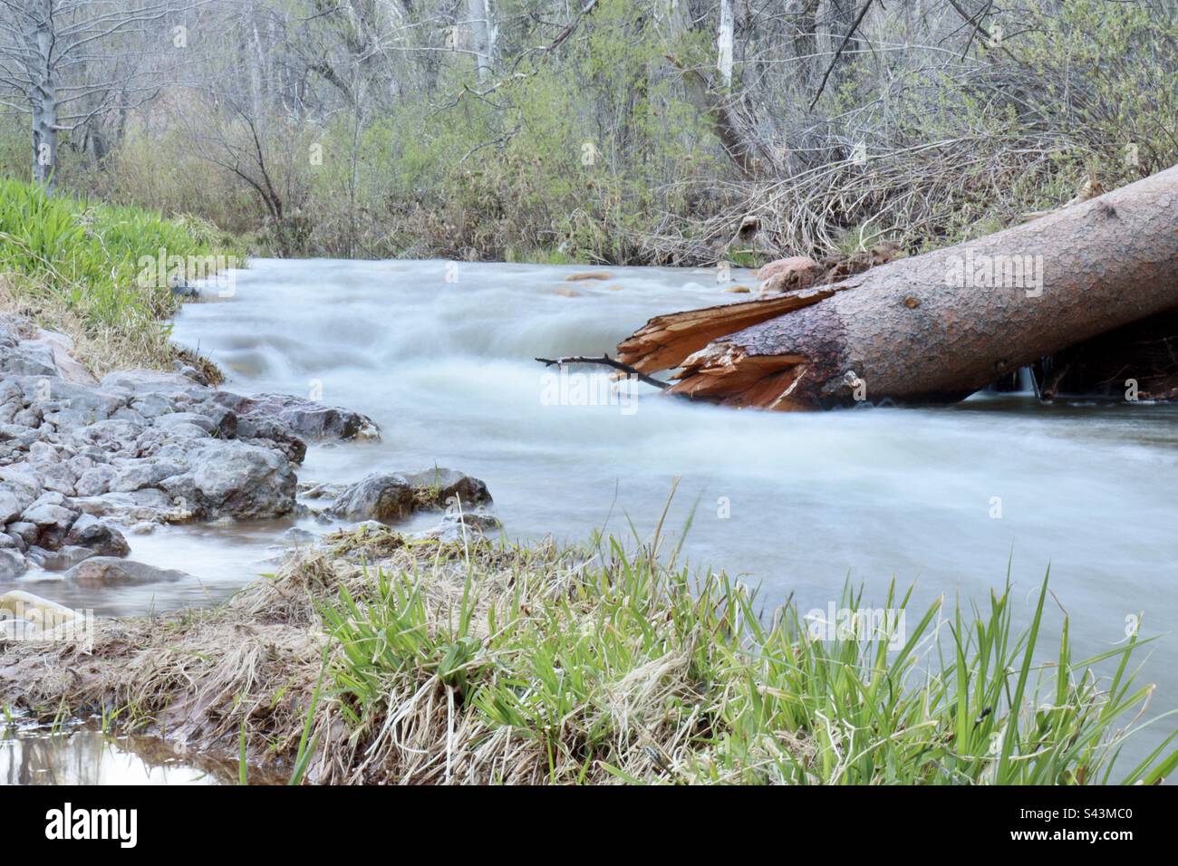 Difference Between Creek and Stream