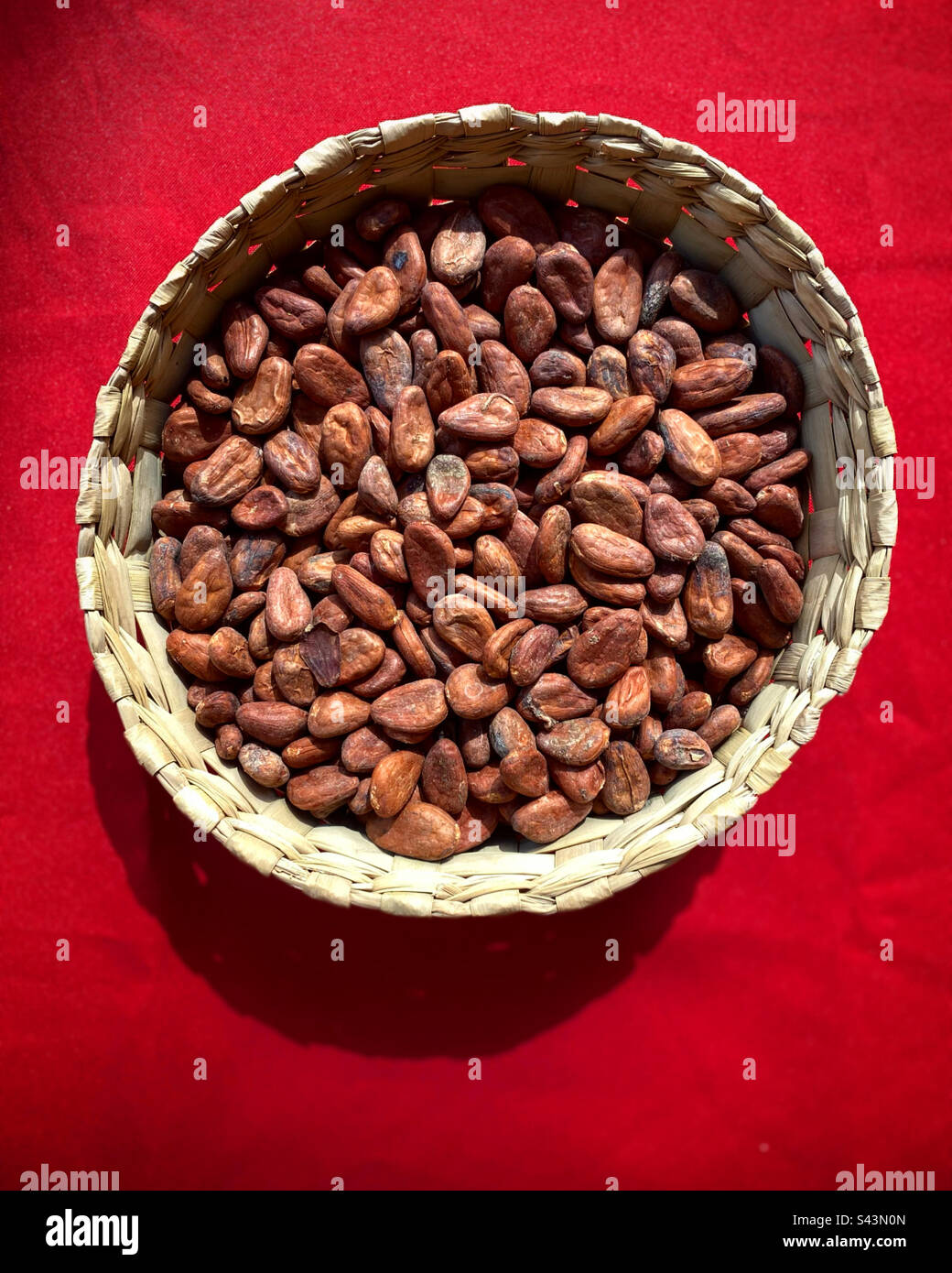 Cocoa seeds in a wicker basquet on a red table in Queretaro, Mexico - Smartphone Captured Stock Image
