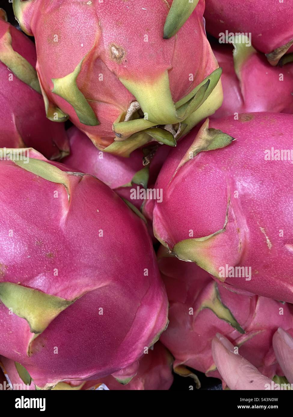 Dragonfruit closeup - Smartphone Captured Stock Image