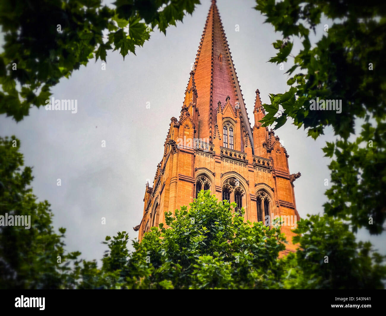 Spire of St.Paul’s Cathedral in Melbourne, Victoria, Australia framed by green tree leaves. Neo-Gothic transitional style. - Smartphone Captured Stock Image