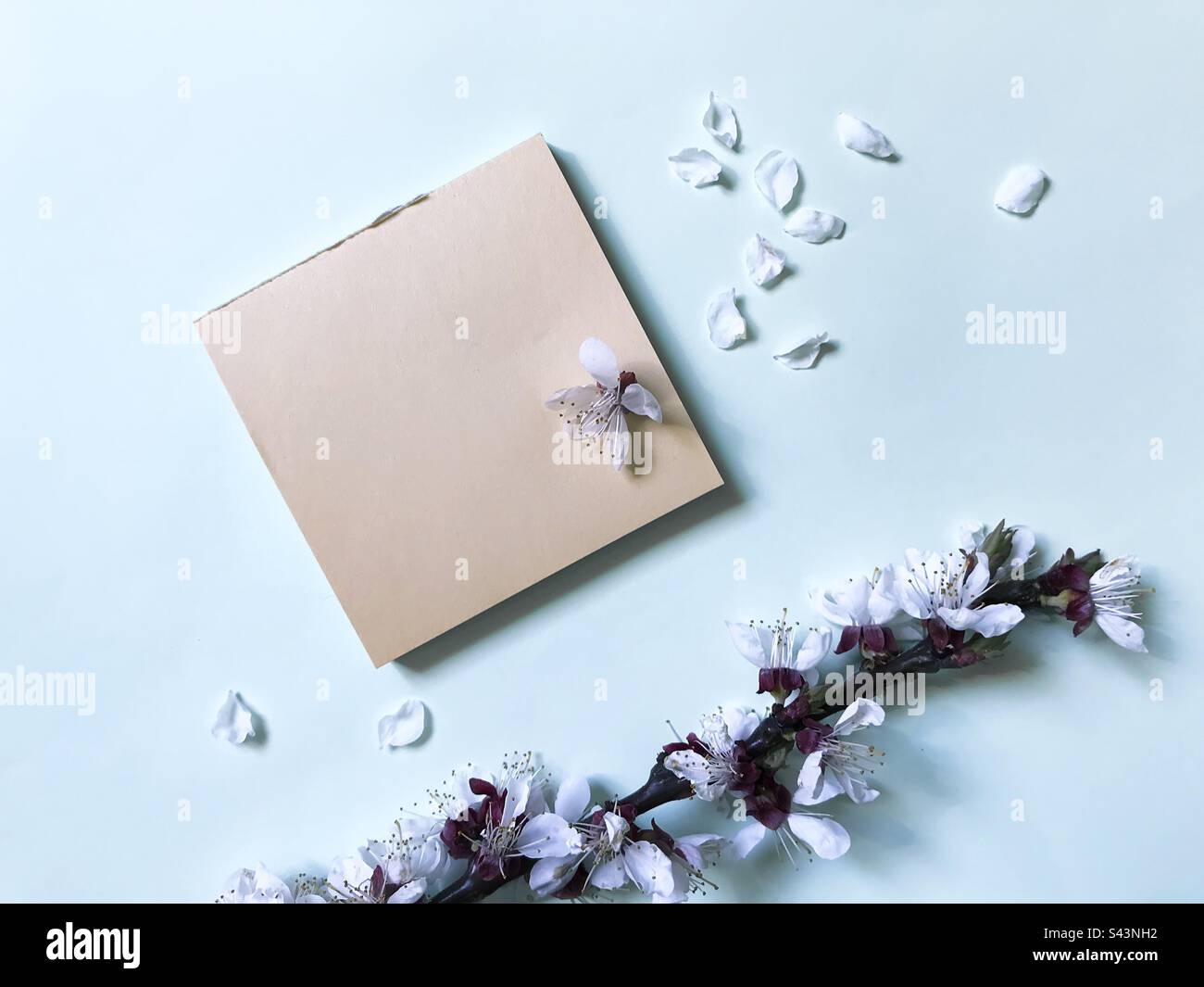 Blue pastel spring notes Stock Photo - Alamy
