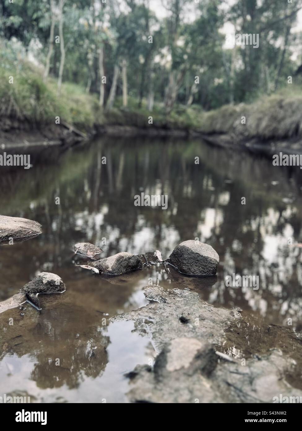 Natures mirror hi-res stock photography and images - Alamy