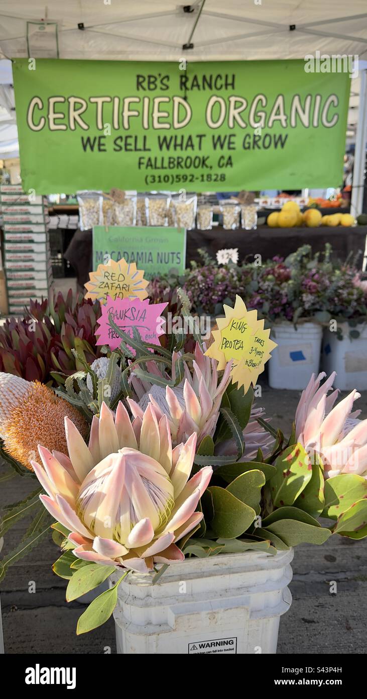 Certified organic flowers by RB’s ranch Stock Photo Alamy