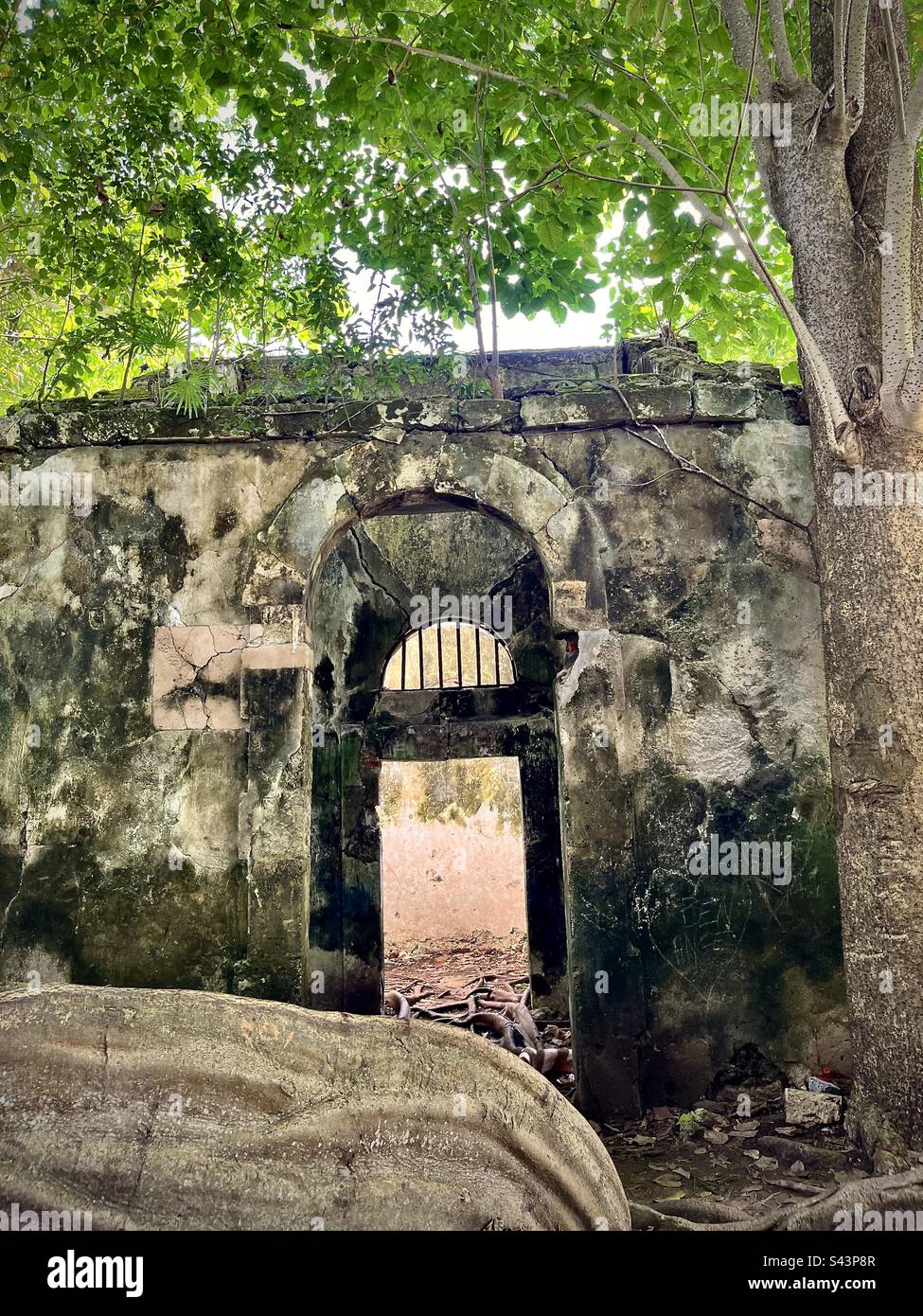 Ruins of a historic site of slavery with a view of an entrance with