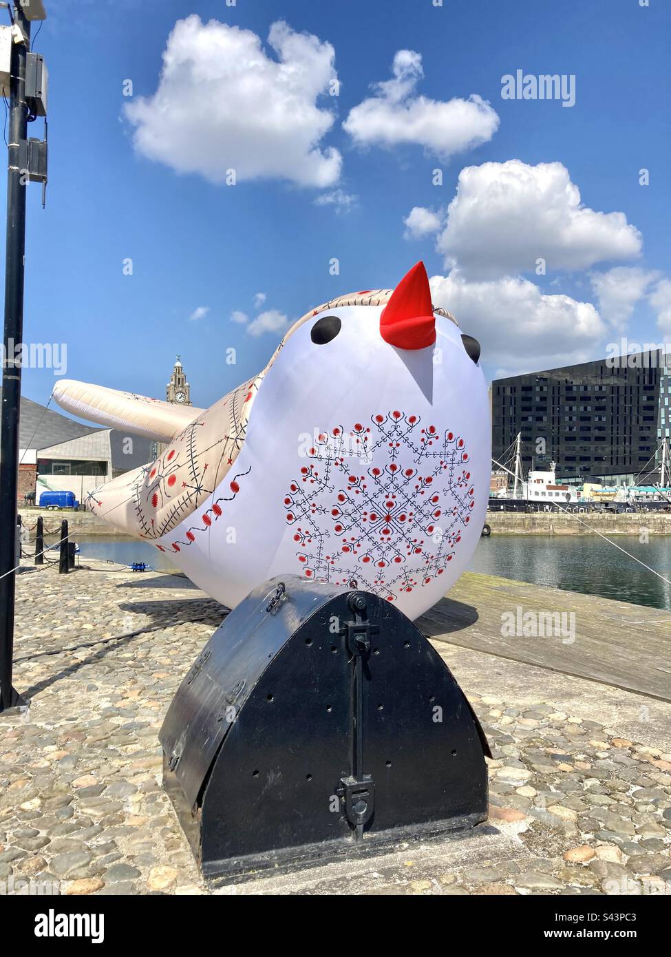 Soloveiko song bird Liverpool - Smartphone Captured Stock Image