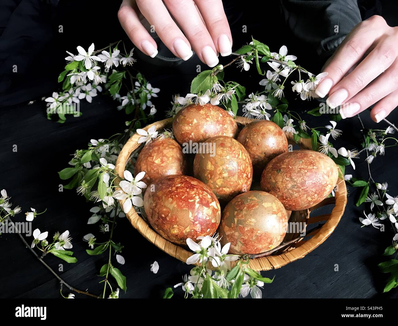Easter eggs decor Stock Photo
