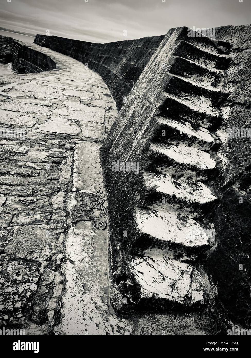 Stone steps on The Cobb wall Lyme Regis Dorset - Smartphone Captured Stock Image