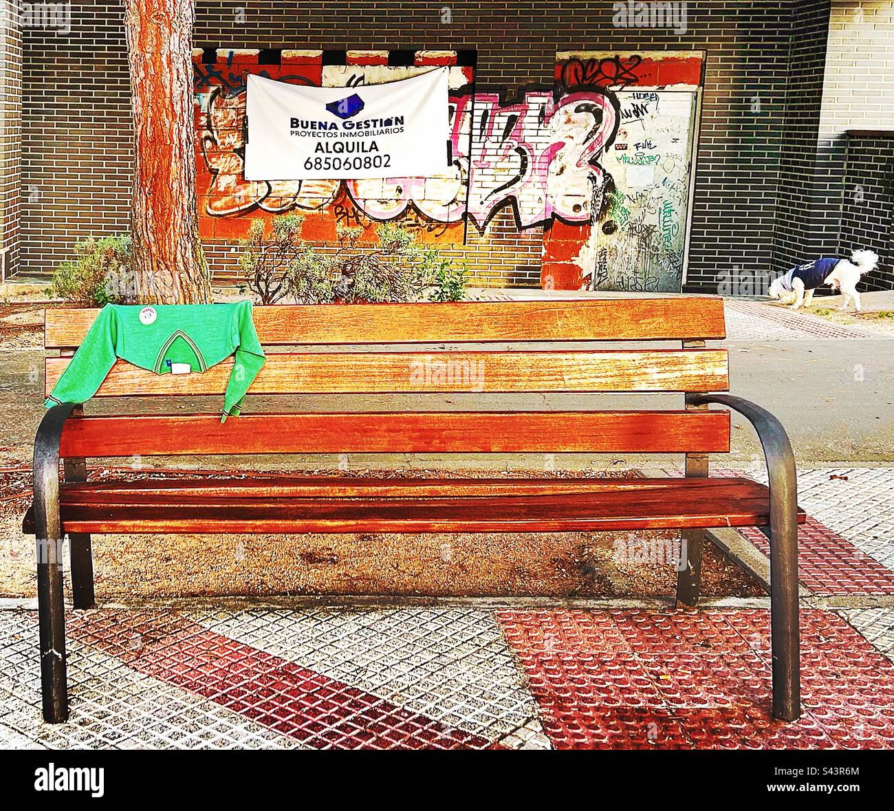 The green pullover of an infant child is carefully draped over a bench in the street, presumably close to the place where it was lost. Stock Photo