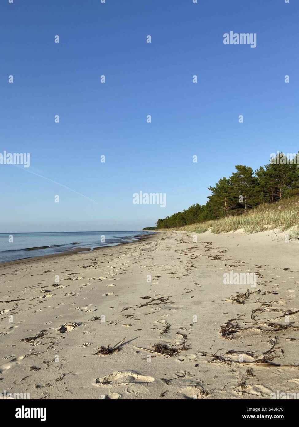 White sand beach view in Hiiumaa island, Estonia on a sunny summer day. Completely alone with no people around. - Smartphone Captured Stock Image