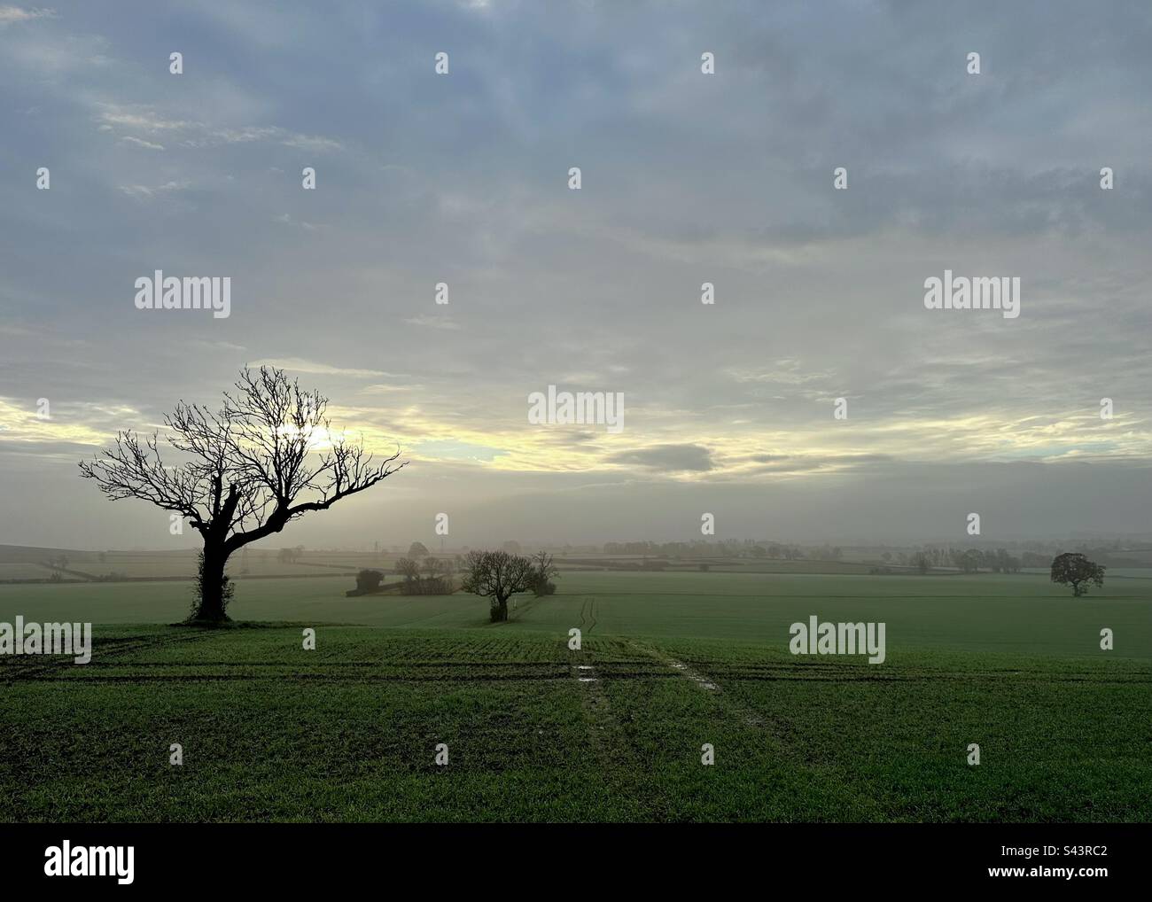 Misty Morning Sky near Thurlby, Lincolnshire Stock Photo
