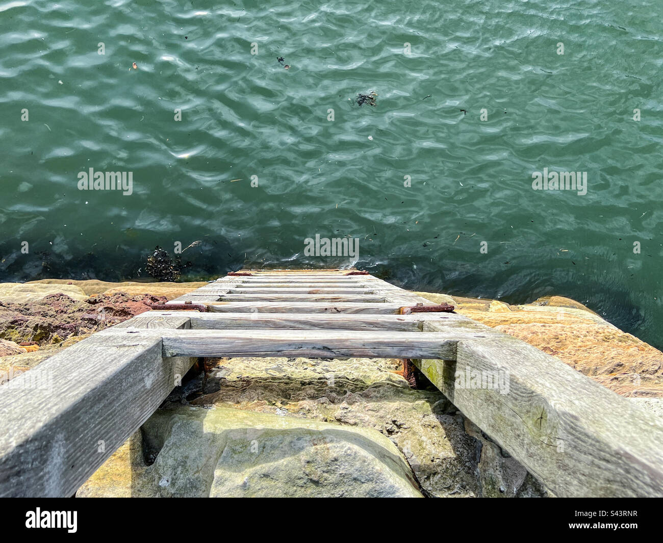 Top view of harbour wooden wall ladders looking into sea - Smartphone Captured Stock Image
