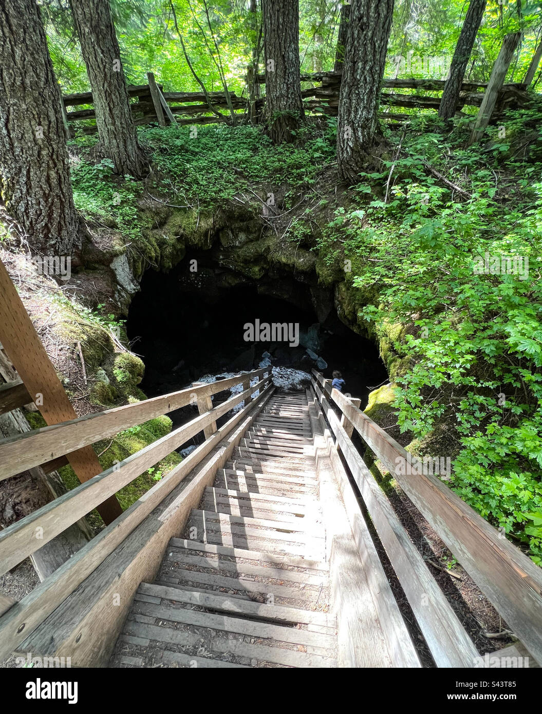 Gifford pinchot national park ice cave Stock Photo Alamy