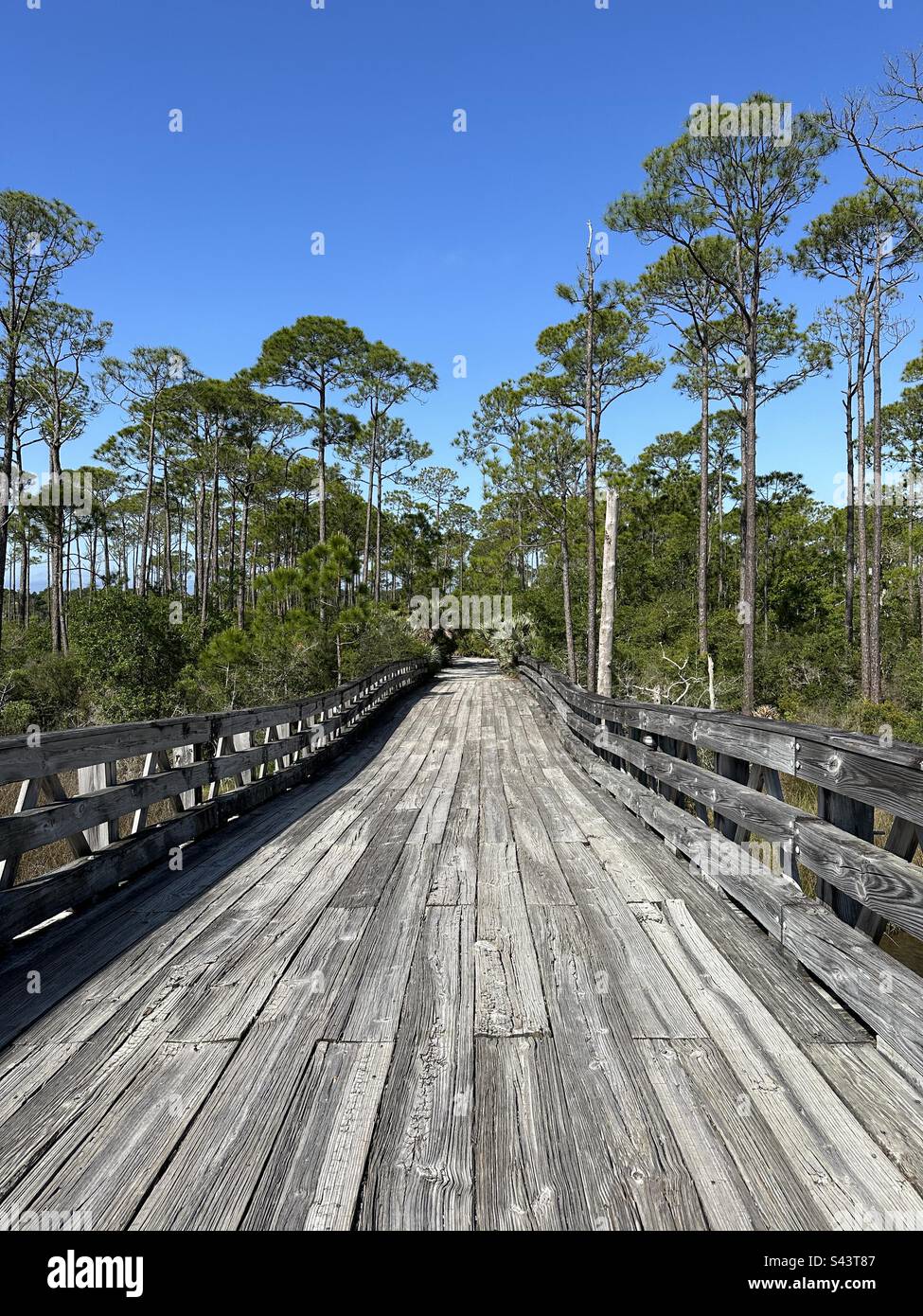 Wooden bridge leading to forest at Jolie Island Miramar Beach Florida - Smartphone Captured Stock Image