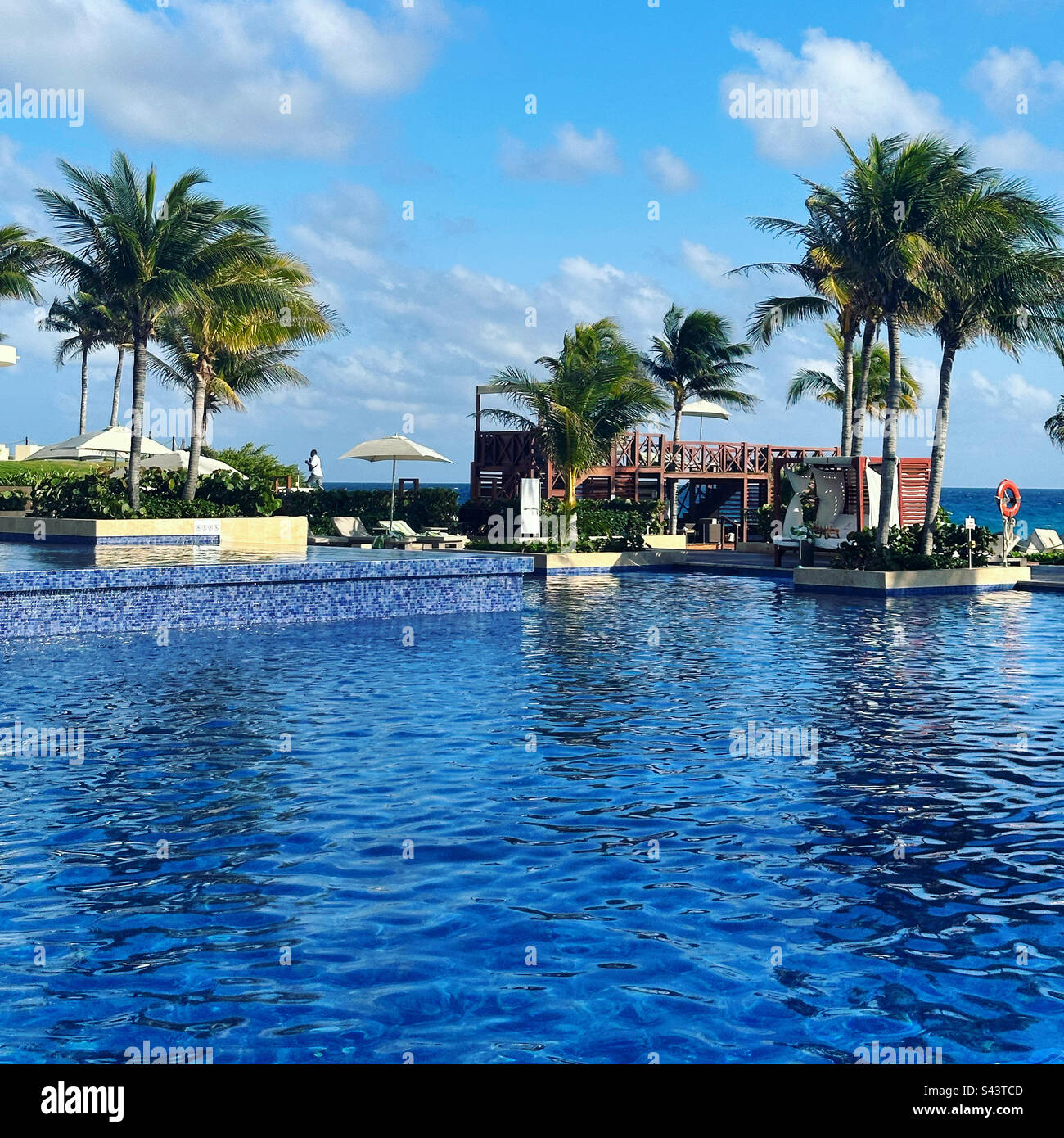 February, 2023, Swimming pool, Hyatt Ziva Cancun, Hotel Zone, Cancun