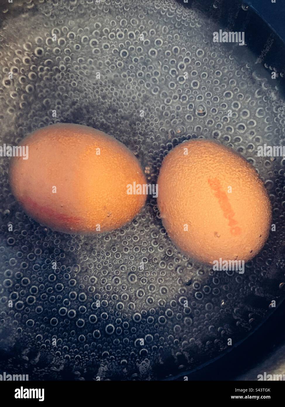 Two eggs boiling in a bowl Stock Photo Alamy