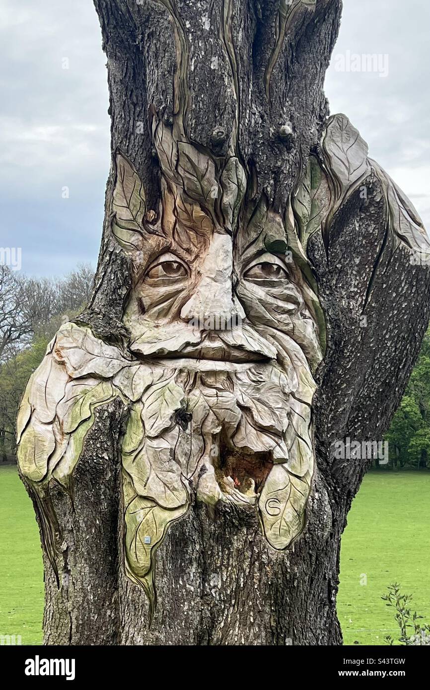 Tree with face carving Stock Photo - Alamy