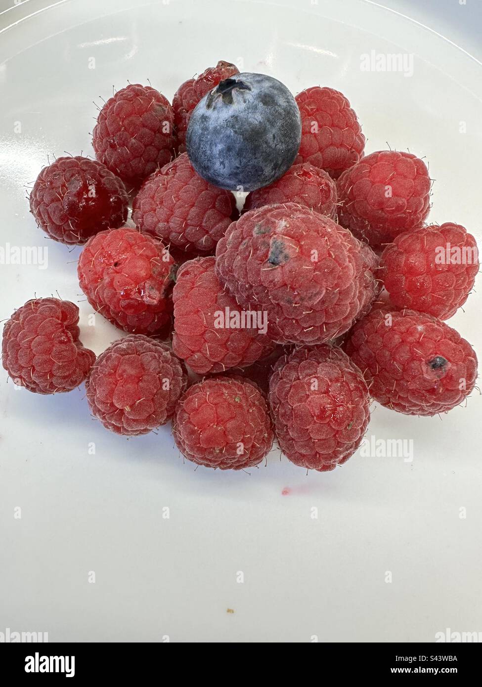 Blueberry and Raspberries - Smartphone Captured Stock Image