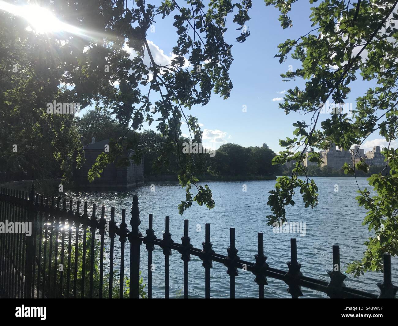 View of Central Park reservoir - Smartphone Captured Stock Image