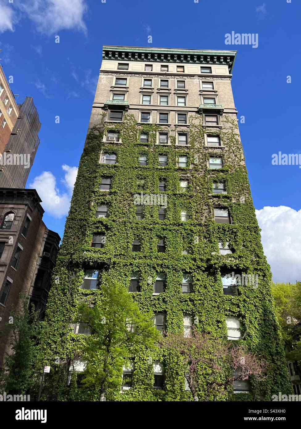 Apartment building covered in Ivy on Manhattan’s upper west side Stock Photo Alamy